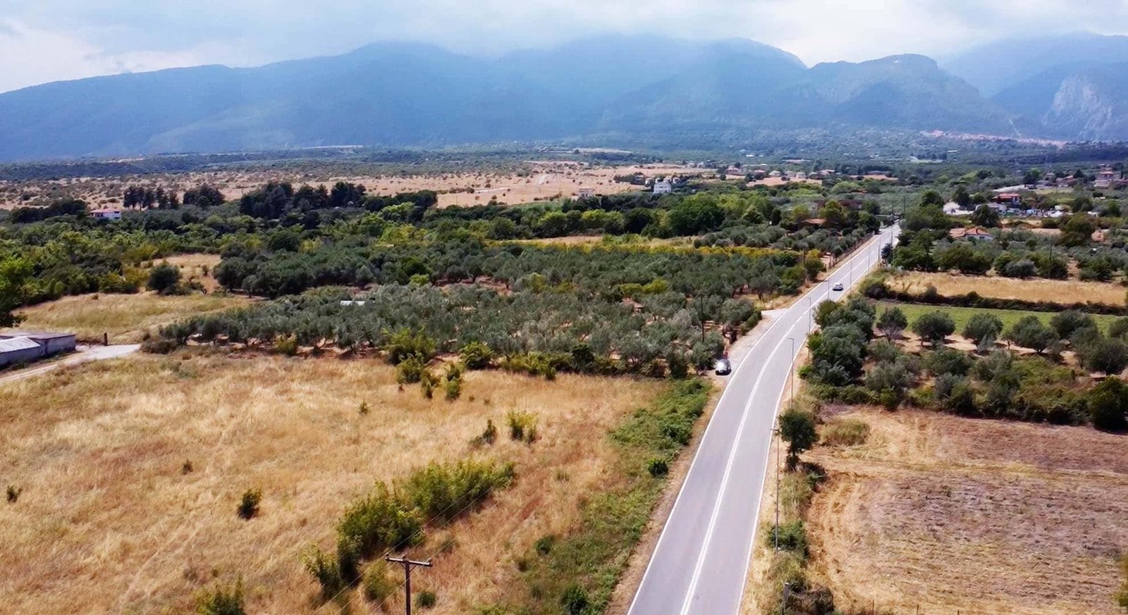 Προβατιδης μεσιτικά όλυμπος με σύνεφα, ελαίωνας και αγροτεμάχιο