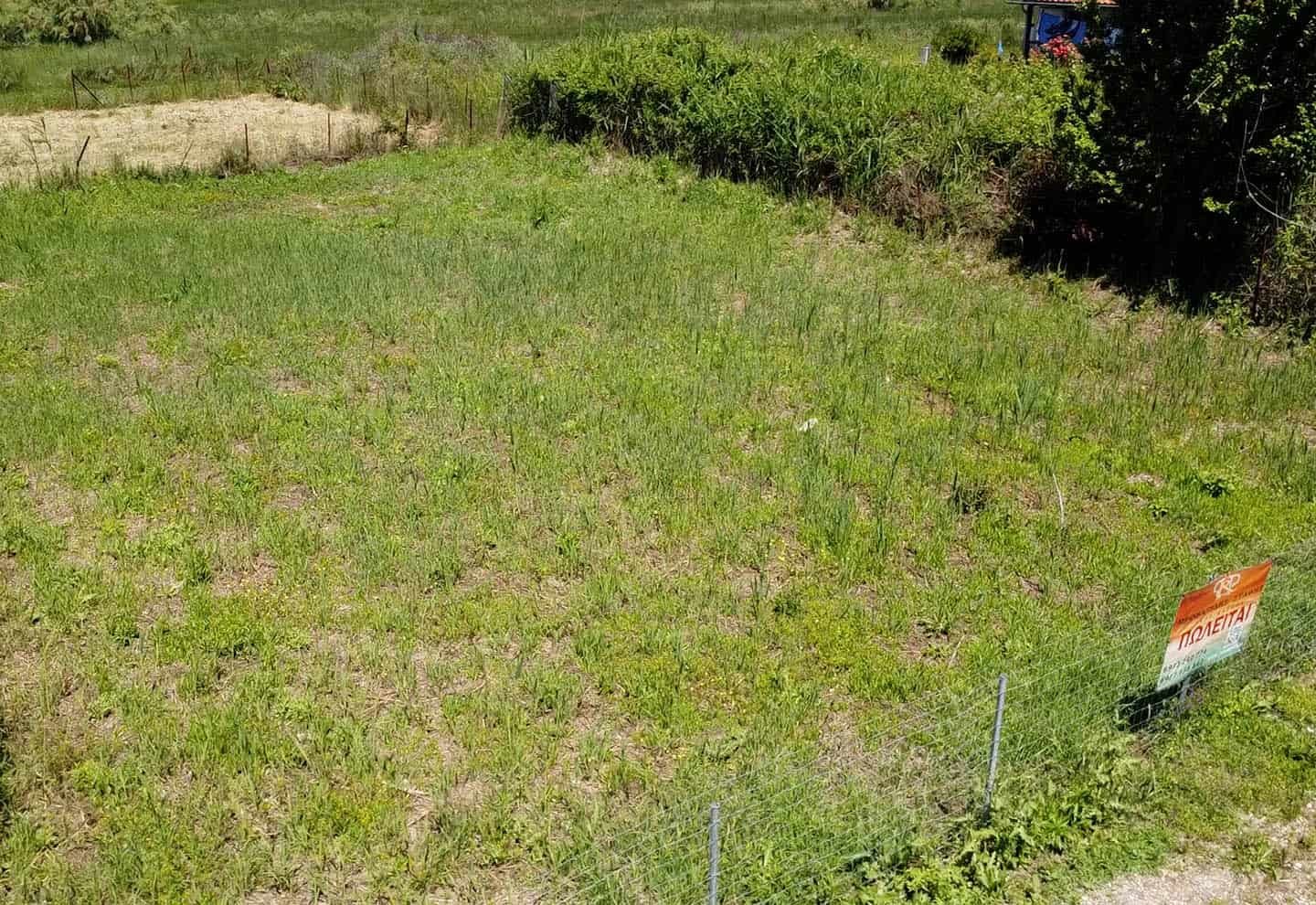 Provatidis μεσιτικά αγροτεμάχια-μεσιτικά Καστρί Λουτρό ματιά στο αγροτεμάχιο από κοντά και ψιλά