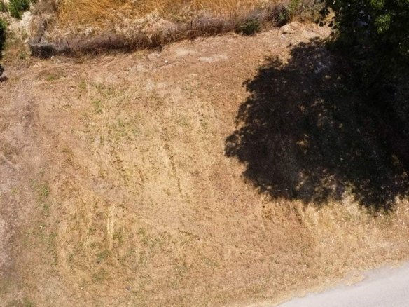 Provatidis μεσιτικά Καστρί Λουτρό πρόσοψη ακινήτου από ψιλά με δέντρο