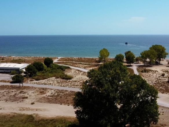 Προβατίδης μεσιτικό Παραθαλάσσιο αγροτεμάχιο στην Γρίτσα θέα από ψιλά στο ακίνητο και γύρο περιοχή με θάλασσα σε απόσταση μόλις 250 μ