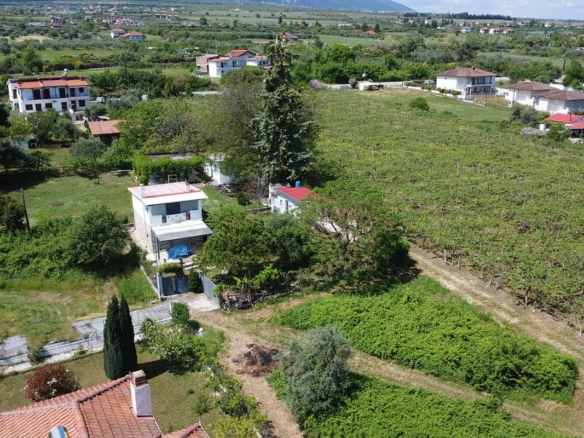 Προβατίδης μεσιτικά πώληση παραθαλάσσια οικοπεδα αγροτεμάχια στην Θεσσαλια και Πιερία-Θέα στην γύρο περιοχή με βουνοκορυφές Ολύμπου