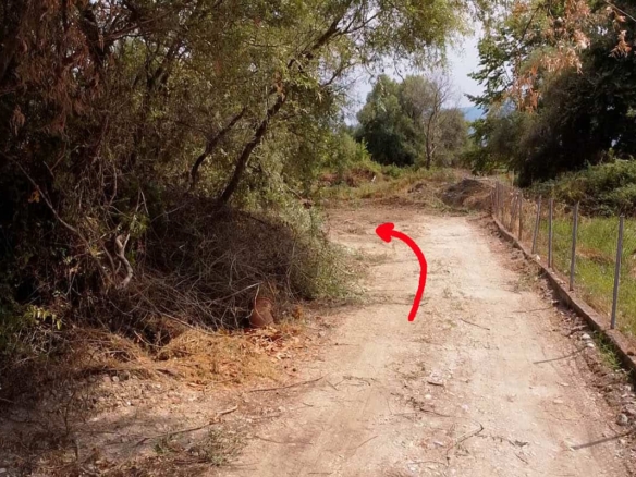 Προβατίδις μεσιτικά Πώληση παραθαλάσσιον, οικοπέδον και αγροτεμαχίων-Πλάκα Λιτοχώρου-Λεπτοκαρυα-εικόνα από δρόμο προς το αγροτεμάχιο