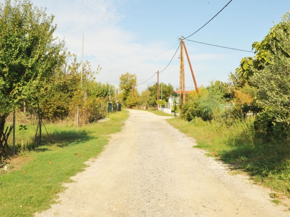 Προβατίδης μεσιτικά παραθαλάσσια οικόπεδα και αγροτεμάχια-θέα δρόμου μπροστά στο οικόπεδο σε καλή γειτονιά και φύση παντου