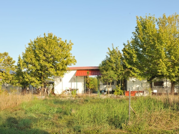 Προβατίδης μεσιτικά παραθαλάσσια οικόπεδα και αγροτεμάχια-διαγώνεια με δέντρα στο βάθος στην γωνία του δρόμου