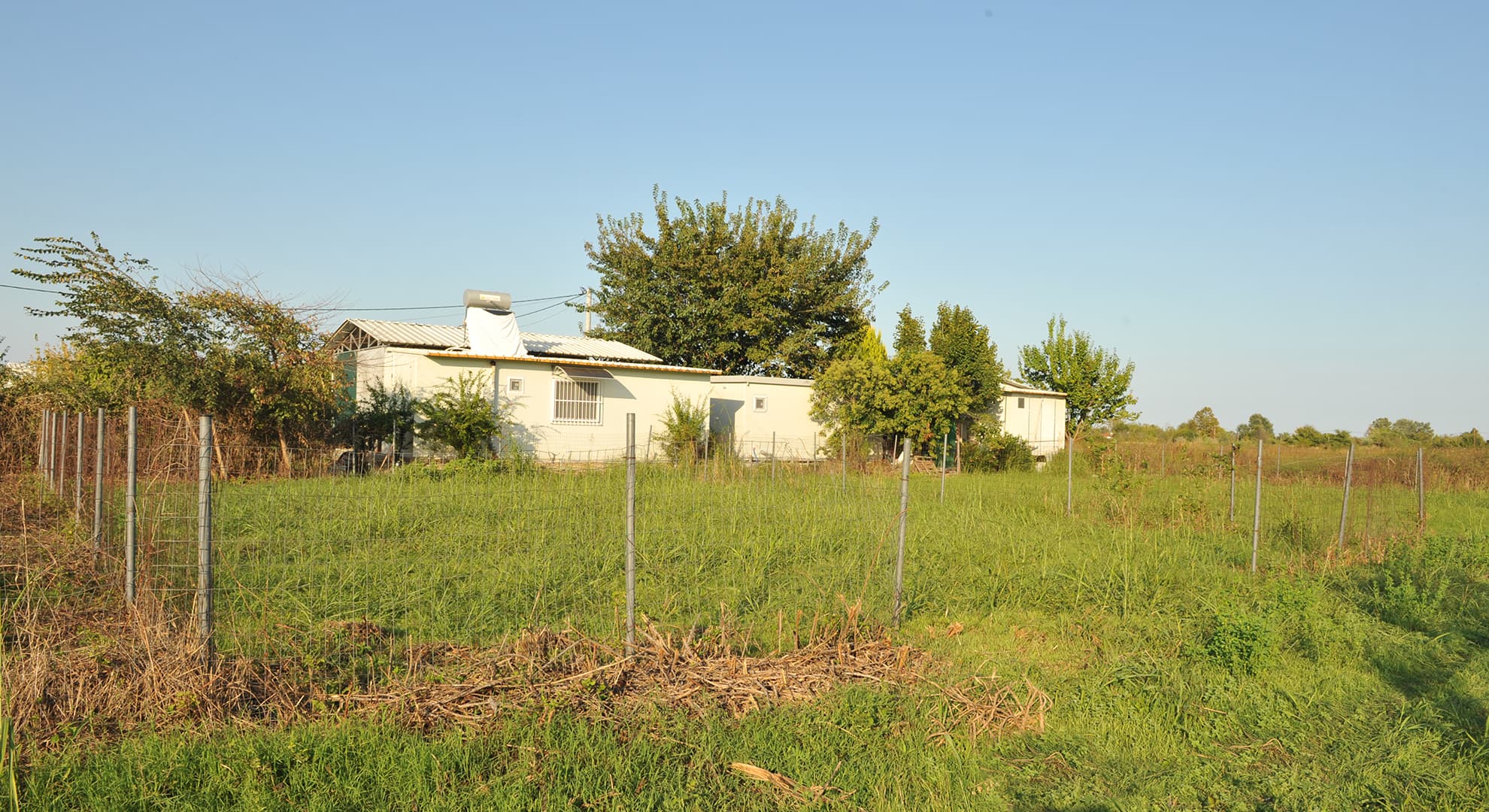 DSC_9270-with-parathalasio-agrotemaxio-6 Προβατίδης μεσιτικά παραθαλάσσιο αγροτεμάχιο με περίφραξη-θέα από μπροστά-ποιο μακρινή λήψη και διαγώνια προς δέντρα