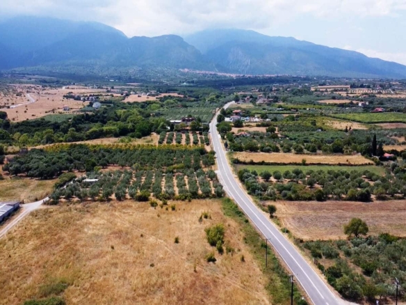 Προβατίδης μεσιτικά παραθαλάσσια οικόπεδα αγροτεμάχια-Οδός Κουτρουμπα και θέα από ψιλά προς ακίνητο με θέα τον ελαίωνα μπροστά και πρόποδες Ολύμπου