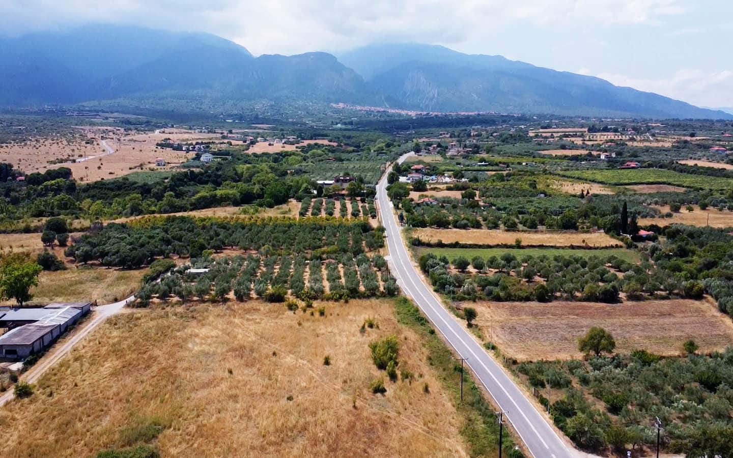Προβατίδης μεσιτικά παραθαλάσσια οικόπεδα αγροτεμάχια-Οδός Κουτρουμπα και θέα από ψιλά προς ακίνητο με θέα τον ελαίωνα μπροστά και πρόποδες Ολύμπου