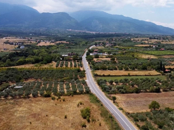 Προβατίδης μεσιτικά παραθαλάσσια οικόπεδα αγροτεμάχια-Οδός Κουτρουμπα και θέα από ψιλά προς ακίνητο με θέα τον ελαίωνα μπροστά και πρόποδες Ολύμπου ποιο πλάι