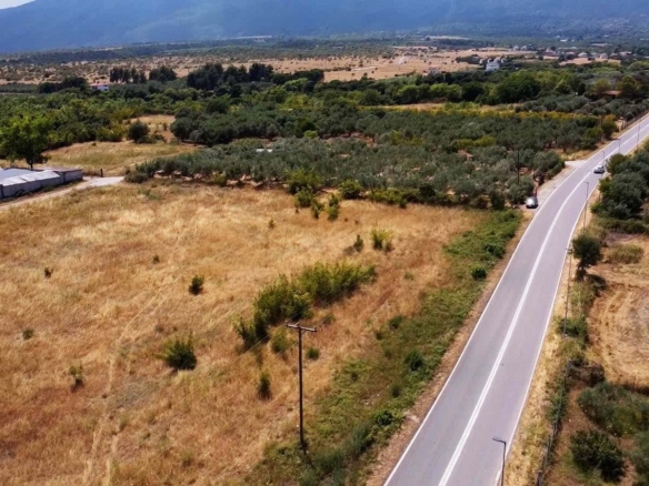 Προβατίδης μεσιτικά παραθαλάσσια οικόπεδα αγροτεμάχια-Οδός Κουτρουμπα και θέα από ψιλά προς ακίνητο με θέα τον ελαίωνα