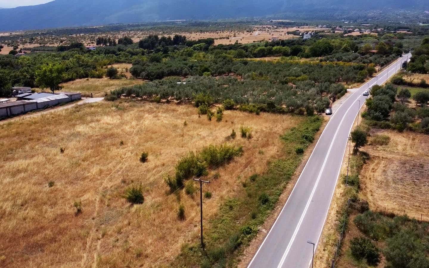 Προβατίδης μεσιτικά παραθαλάσσια οικόπεδα αγροτεμάχια-Οδός Κουτρουμπα και θέα από ψιλά προς ακίνητο με θέα τον ελαίωνα