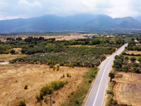 Προβατίδης μεσιτικά παραθαλάσσια οικόπεδα αγροτεμάχια-Οδός Κουτρουμπα και θέα από ψιλά προς ακίνητο με θέα τον ελαίωνα και Όλυμπο