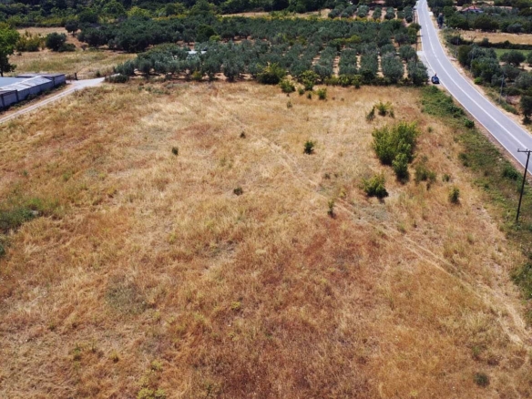 Προβατίδης μεσιτικά παραθαλάσσια οικόπεδα αγροτεμάχια-Οδός Κουτρουμπα και θέα από ψιλά προς ακίνητο με θέα τον ελαίωνα μπροστά