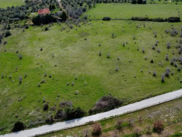 Προβατίδης μεσιτικά παραθαλάσσια οικόπεδα αγροτεμάχια Νέα Μεσάγκαλα Καστρί Λουτρό Λιτόχωρο-13.7 στρέμματα στο Λιτόχωρο από ψιλά με ελαιώνες και κατοικίες