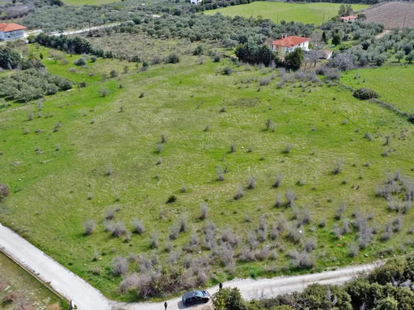 Προβατίδης μεσιτικά παραθαλάσσια οικόπεδα αγροτεμάχια Νέα Μεσάγκαλα Καστρί Λουτρό Λιτόχωρο-13.7 στρέμματα στο Λιτόχωρο από ψιλά