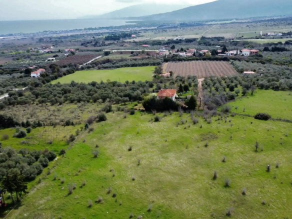 Προβατίδης μεσιτικά παραθαλάσσια οικόπεδα αγροτεμάχια Νέα Μεσάγκαλα Καστρί Λουτρό Λιτόχωρο-13.7 στρέμματα στο Λιτόχωρο από ψιλά με ελαιώνες και κατοικίες στο βάθος