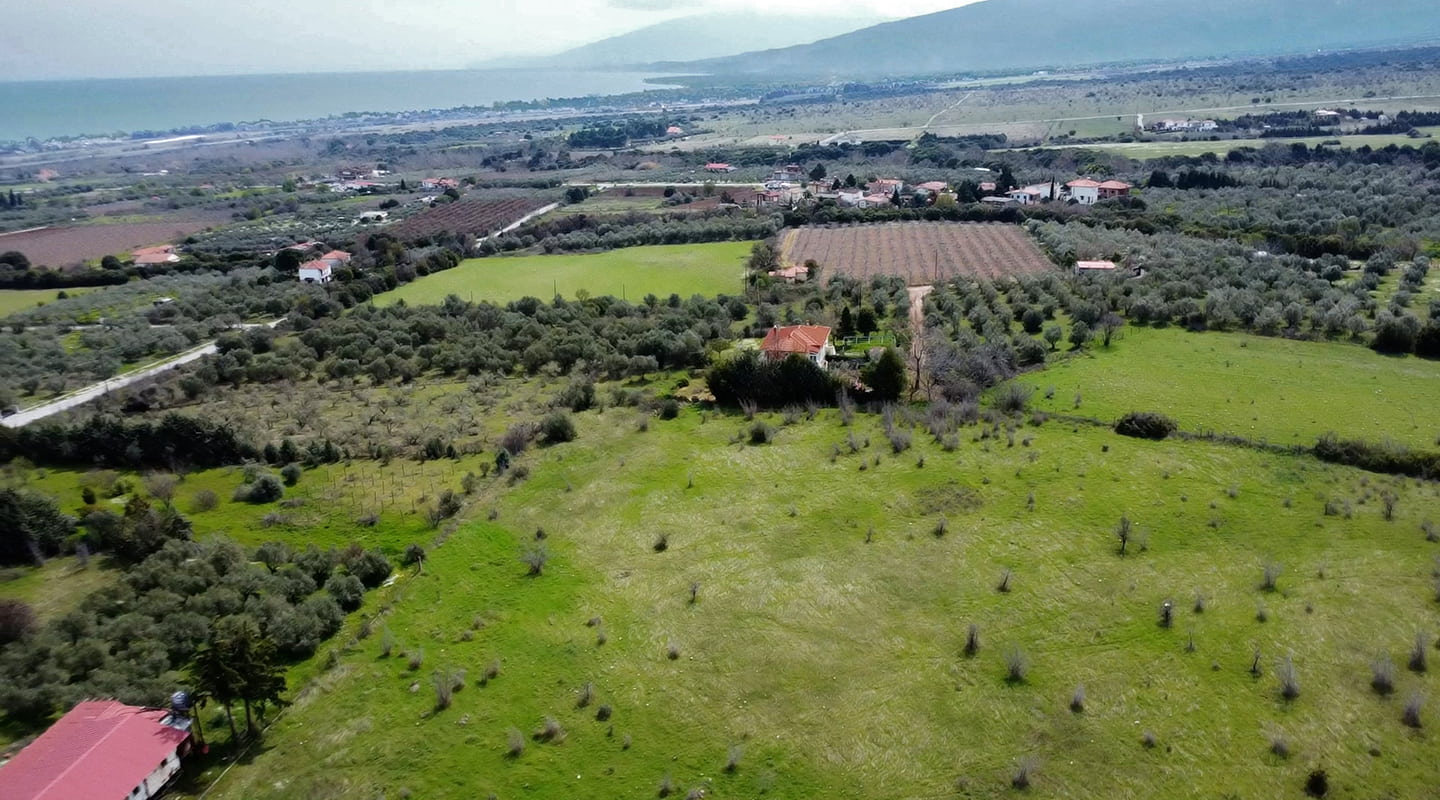 Προβατίδης μεσιτικά παραθαλάσσια οικόπεδα αγροτεμάχια Νέα Μεσάγκαλα Καστρί Λουτρό Λιτόχωρο-13.7 στρέμματα στο Λιτόχωρο από ψιλά με ελαιώνες και κατοικίες στο βάθος