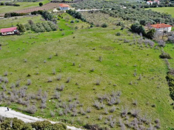 Προβατίδης μεσιτικά παραθαλάσσια οικόπεδα αγροτεμάχια Νέα Μεσάγκαλα Καστρί Λουτρό Λιτόχωρο-13.7 στρέμματα στο Λιτόχωρο από ψιλά με γύρο περιοχές