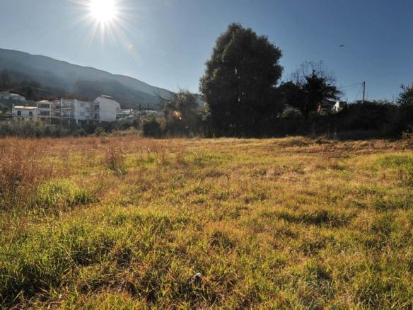 Προβατίδης μεσιτικά πώληση παραθαλάσσβν οικοπέδων και αγροτεμαχίων στην Πιερία και θεσσαλία-Στόμιο θέα στο οικόπεδο μεσα στο πράσινο