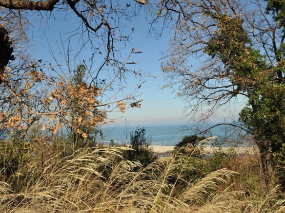 Προβατίδης μεσιτικά πώληση παραθαλάσσβν οικοπέδων και αγροτεμαχίων στην Πιερία και θεσσαλία-Στόμιο θέα στην θάλασσα από το οικόπεδο από ψιλά
