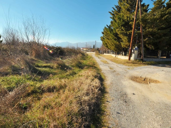Προβατίδης μεσιτικάπώληση παραθαλάσιων, οικοπέδων και αγροτεμάχιων στην Πιερία και Θεσσαλία-Καστρί Λουτρό αγροτεμάχιο-φωτο από την άσφαλτο προς το αγροτεμάχιο και χαλικοστρωμένο δρόμο