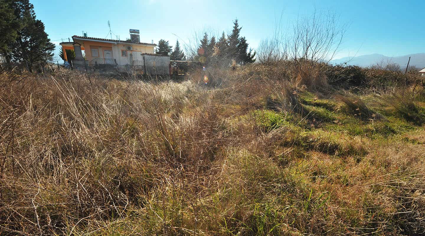 Προβατίδης μεσιτικάπώληση παραθαλάσιων, οικοπέδων και αγροτεμάχιων στην Πιερία και Θεσσαλία-Καστρί Λουτρό αγροτεμάχιο-φωτο από την πίσω μεριά του αγροτεμαχίου ποιο κοντινή και διαγώνια