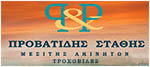 Mobile logo